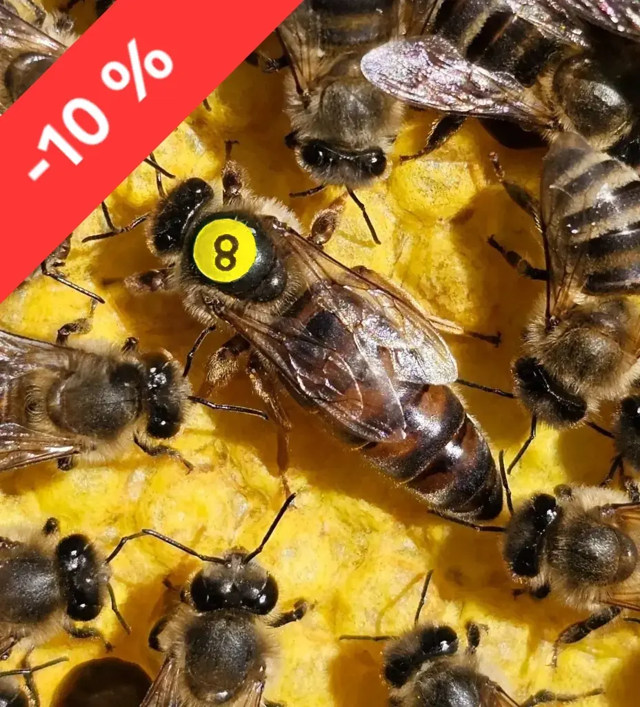 VORBESTELLEN 2027, Belegstelle, BUCKFAST, Bio